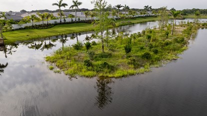 Creating Bird Rookeries  1