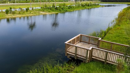 Creating Bird Rookeries  2